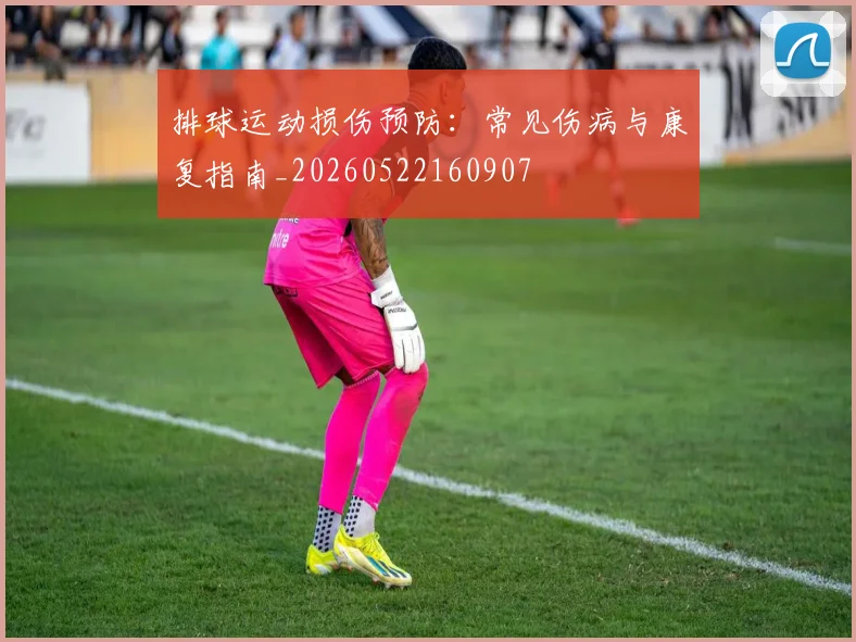 排球运动损伤预防:常见伤病与康复指南_20260522160907