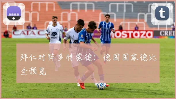 拜仁对阵多特蒙德:德国国家德比全预览